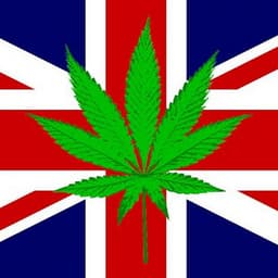 🇬🇧  Support UK Law Reform 🇬🇧