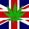 🇬🇧  Support UK Law Reform 🇬🇧